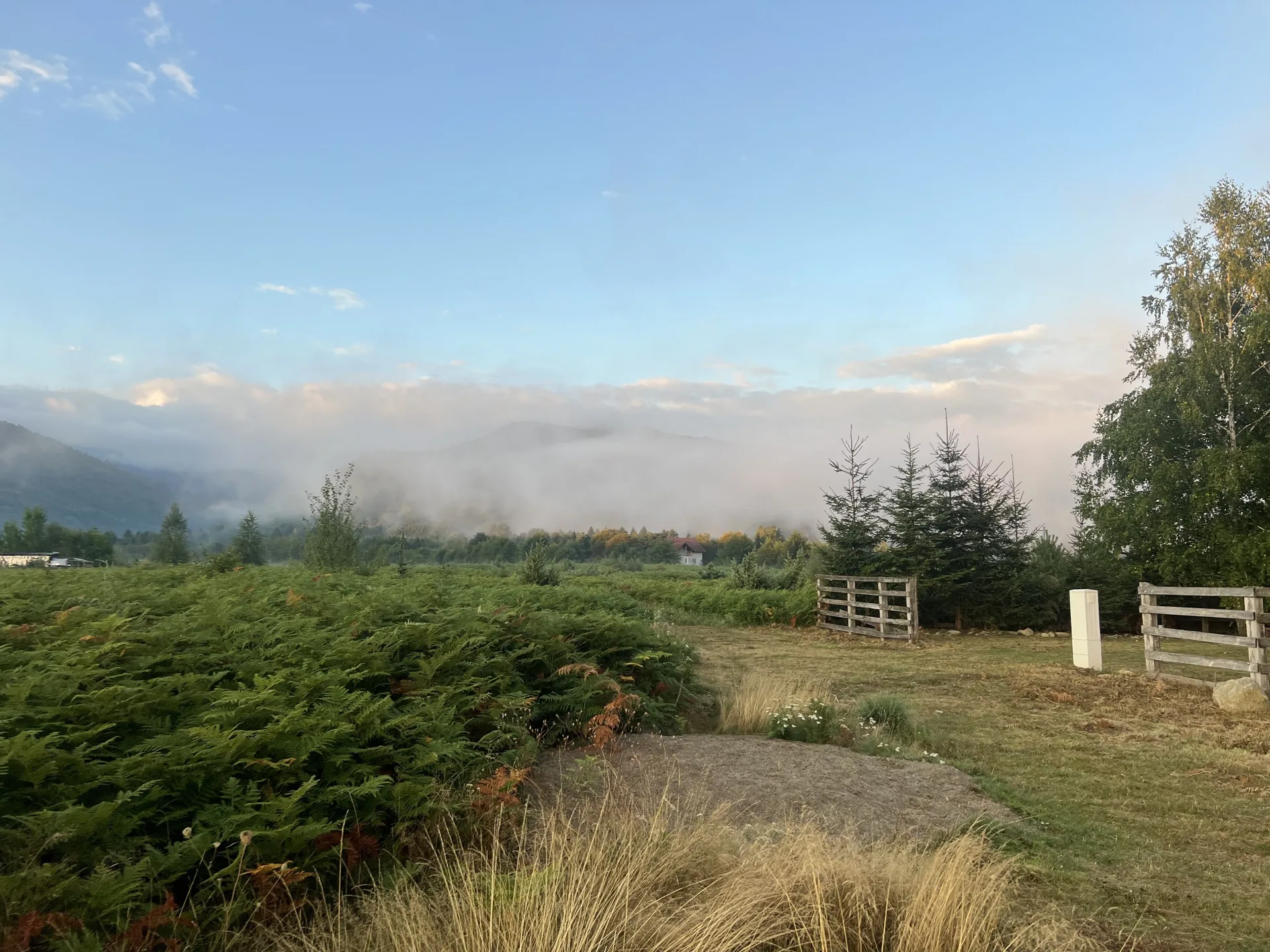 Morning Landscape