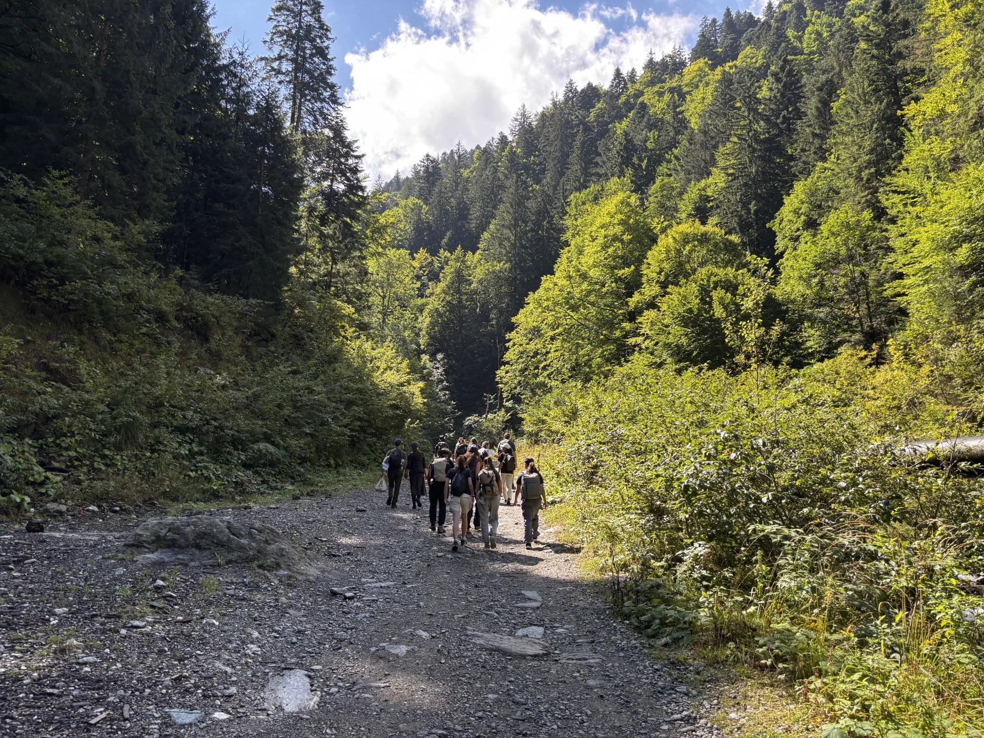 Nature Walk